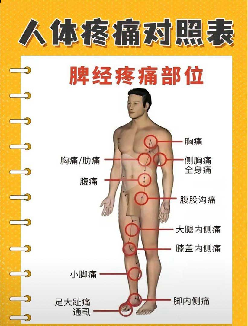 Spleen Pain Chart